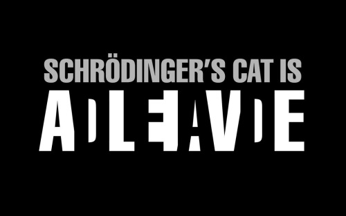 Schrödinger's Cat